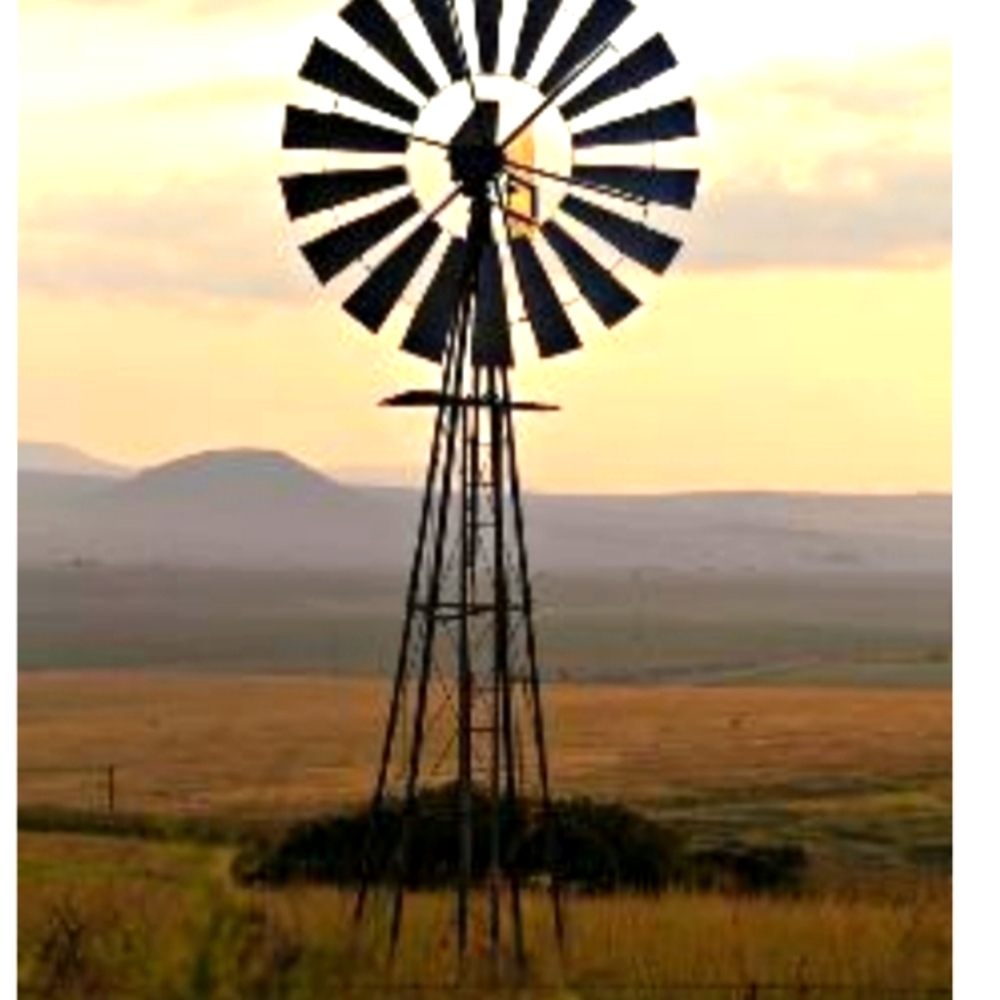 Meet your Posher, Shelly